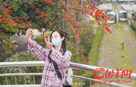 开往春天的广州红棉列车