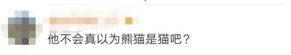男子翻护栏进入大熊猫园？园方回应