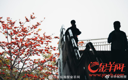 开往春天的广州红棉列车