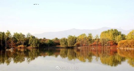 翠湖国家城市湿地公园4月起恢复开放