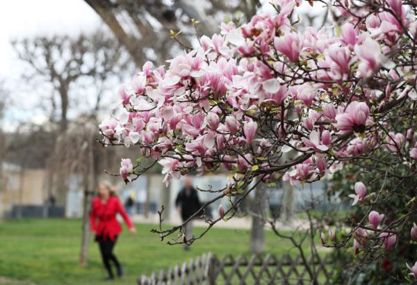 春到巴黎 春到巴黎
