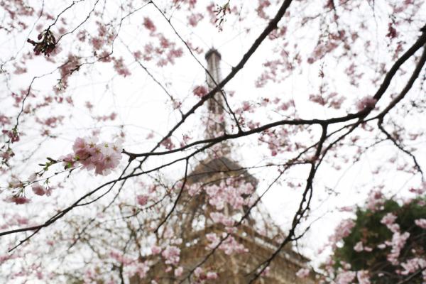 春到巴黎 春到巴黎