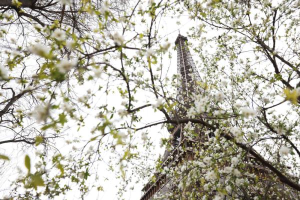 春到巴黎 春到巴黎