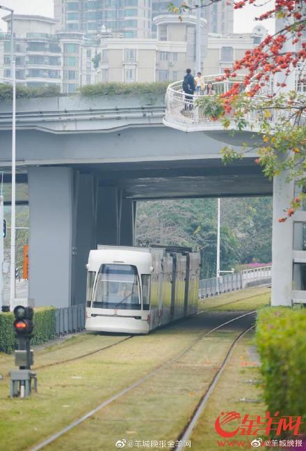 开往春天的广州红棉列车