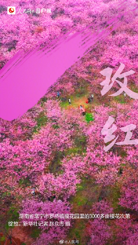 9种传统色彩打卡春天 9种传统色彩打卡春天