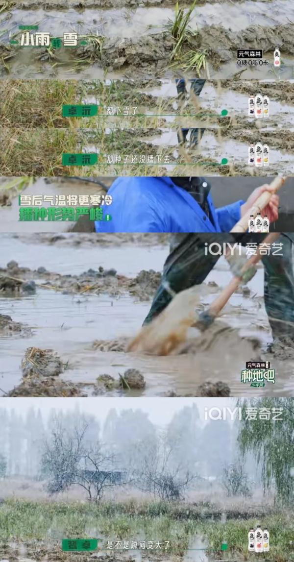 男团“再就业”去种地？还真需要懂点气象！