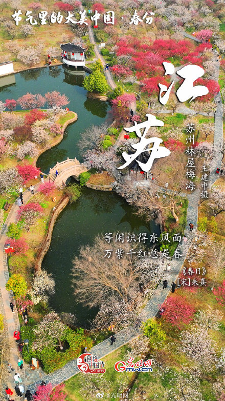 节气里的大美中国：春分丨山色连天碧 林花向日明