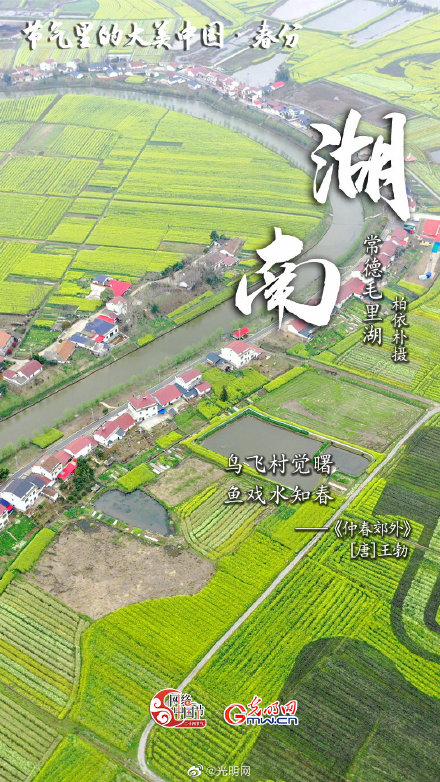 节气里的大美中国：春分丨山色连天碧 林花向日明