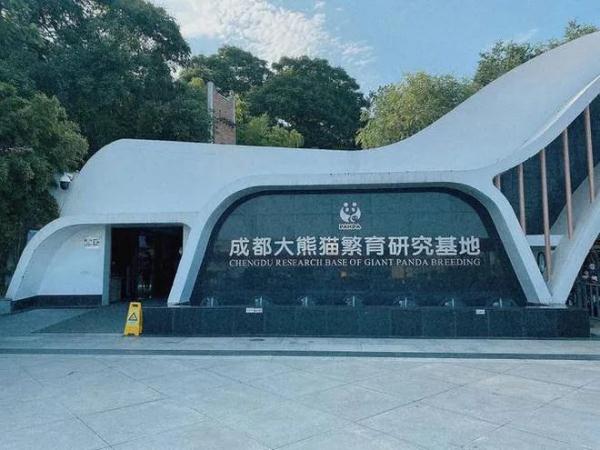 熊猫“宝新”去世？官方：死因正在调查