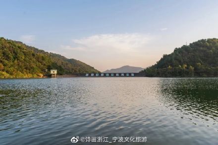 茶山上那棵孤独的梨树，快要“走红”了