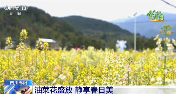 春分节气里看活力中国 感受勃勃生机