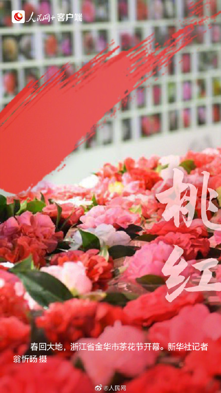 9种传统色彩打卡春天 9种传统色彩打卡春天