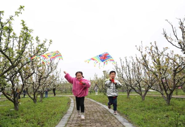 今日春分 | 最是一年春好处，莫负好春光