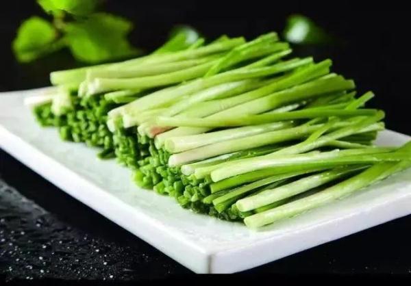 今日春分 | 最是一年春好处，莫负好春光