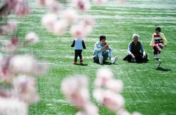今日春分 | 最是一年春好处，莫负好春光