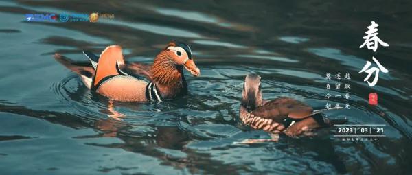 就在今天5:24分！