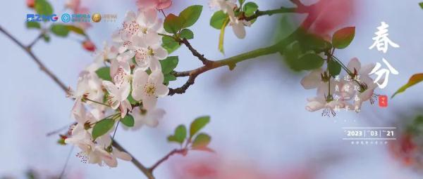 就在今天5:24分！