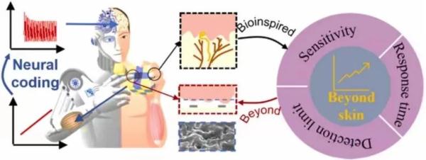 无限接近真实皮肤! 无限接近真实皮肤!