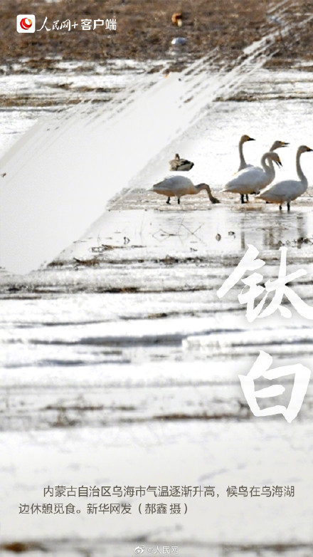 9种传统色彩打卡春天 9种传统色彩打卡春天