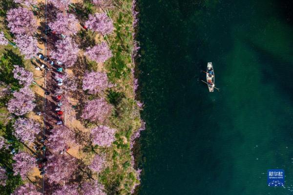 浙江水环境治理成效显著 美丽河湖扮靓“诗画江南”