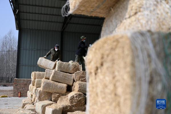 河北隆化:肉牛产业助农增收 河北隆化:肉牛产业助农增收