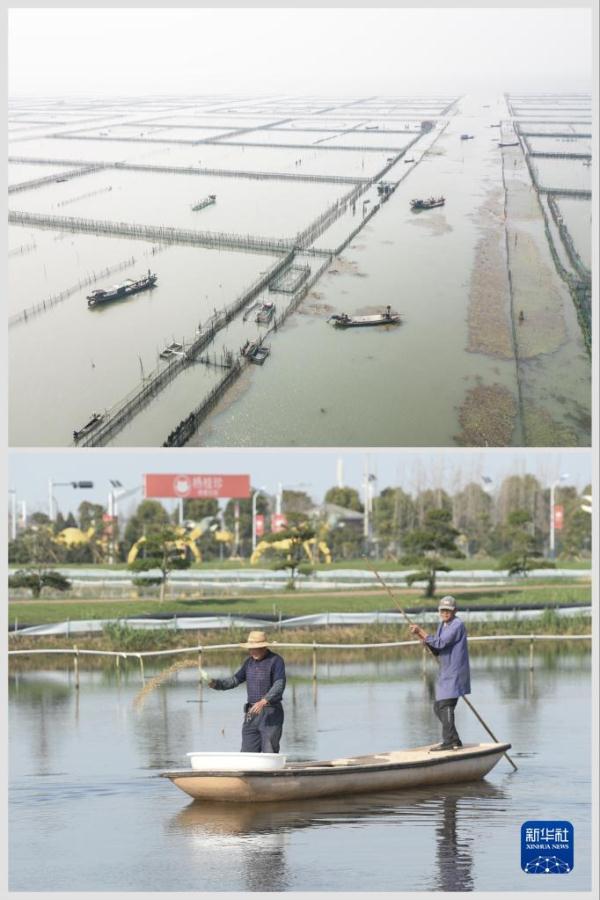 浙江水环境治理成效显著 美丽河湖扮靓“诗画江南”