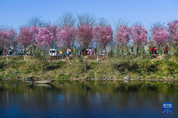 浙江水环境治理成效显著 美丽河湖扮靓“诗画江南”