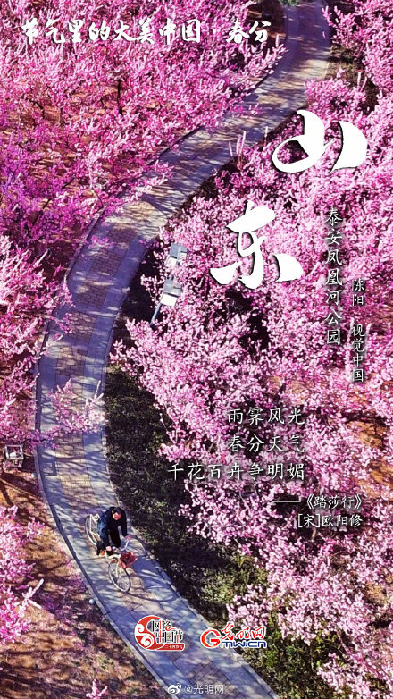节气里的大美中国：春分丨山色连天碧 林花向日明