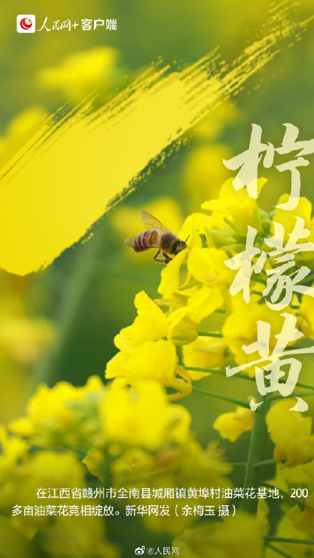 9种传统色彩打卡春天 9种传统色彩打卡春天