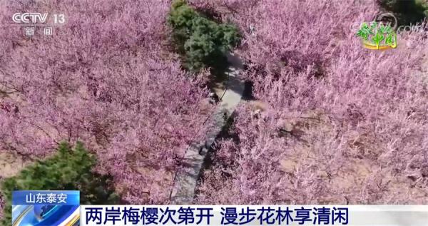 春分节气里看活力中国 感受勃勃生机