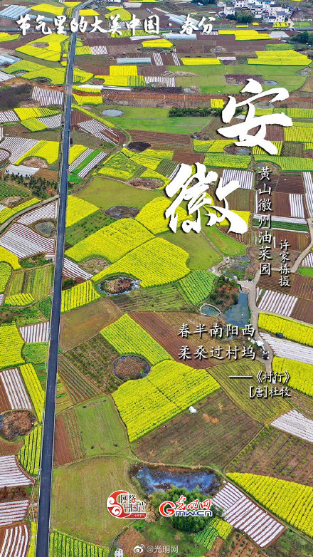 节气里的大美中国：春分丨山色连天碧 林花向日明