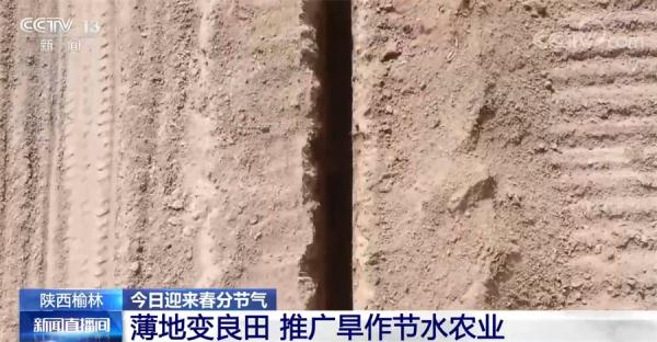 春分至 万物生 正是农耕好时节