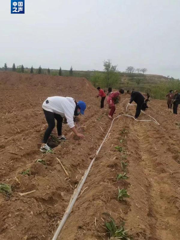 “95后”女村支书，火出圈！