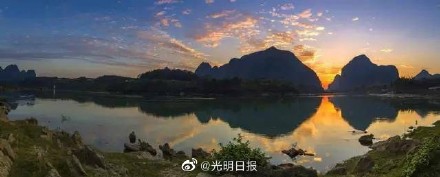 广西澄江河海菜花盛开