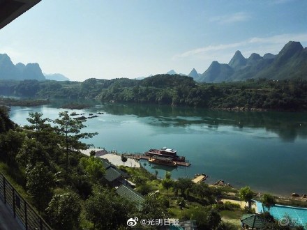 广西澄江河海菜花盛开