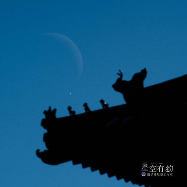 星空有约丨月牙“食”金星，你见过吗？