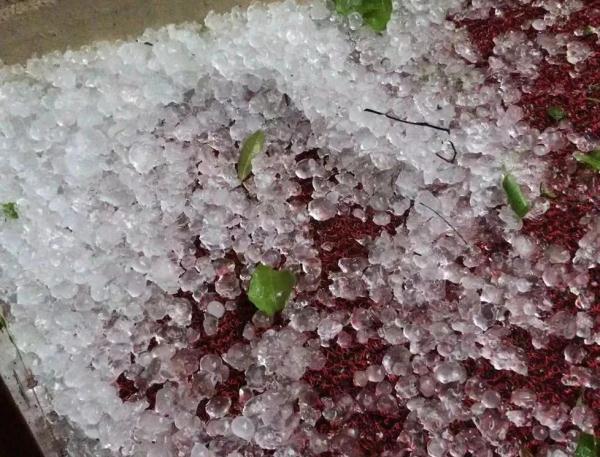 浙江一地下冰雹!暴雨、雷电、大风齐上阵,气温还要再降 浙江一地下冰雹!暴雨、雷电、大风齐上阵,气温还要再降