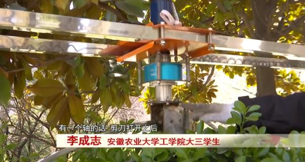 安农大六位学生自制神器！为植物“理发” ！