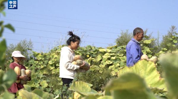 “95后”女村支书，火出圈！