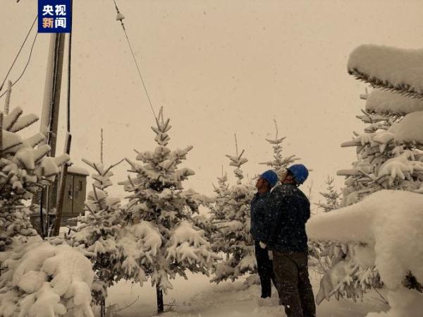 内蒙古呼伦贝尔出现降雪 气温大幅下降 内蒙古呼伦贝尔出现降雪 气温大幅下降