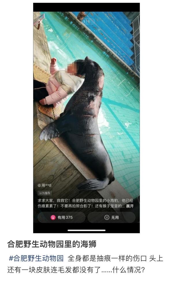 合肥野生动物园刚刚声明:不是伤痕! 合肥野生动物园刚刚声明:不是伤痕!