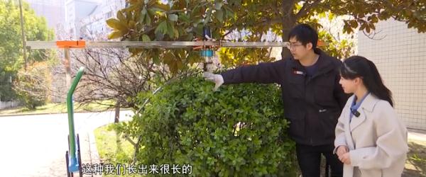 安农大六位学生自制神器！为植物“理发” ！