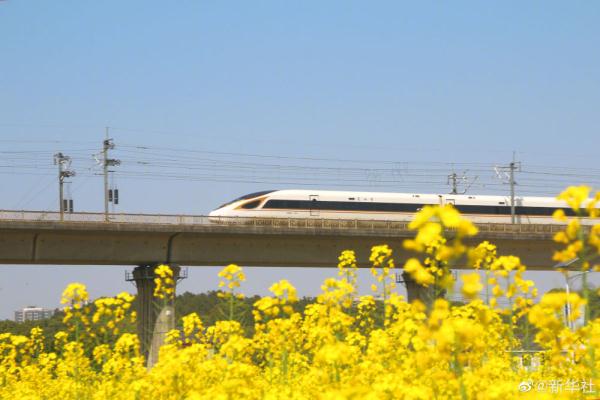 打卡春天里的花海列车