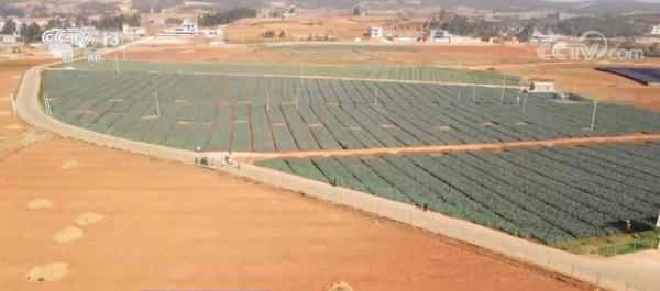 用好田间每一滴水 我国农田灌溉水有效利用系数逐年提高 用好田间每一滴水 我国农田灌溉水有效利用系数逐年提高