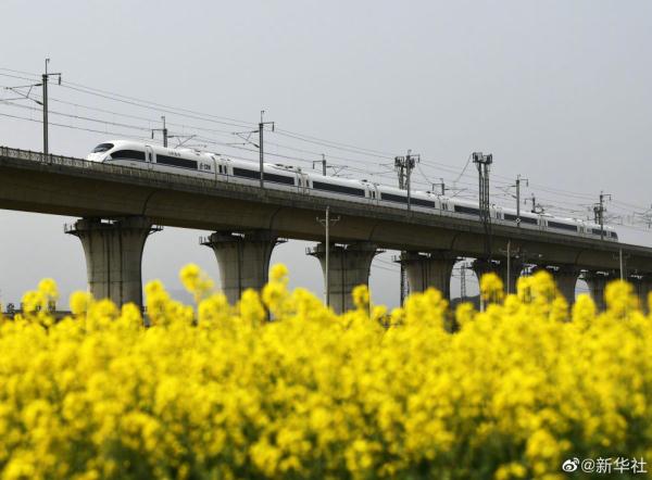 打卡春天里的花海列车