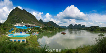 广西澄江河海菜花盛开