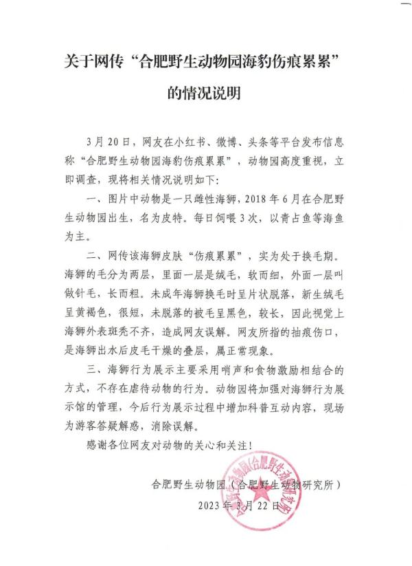 合肥野生动物园海豹遭受虐待？园方声明！