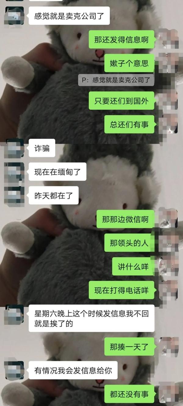 又有4人在缅甸失联？聊天记录让人揪心