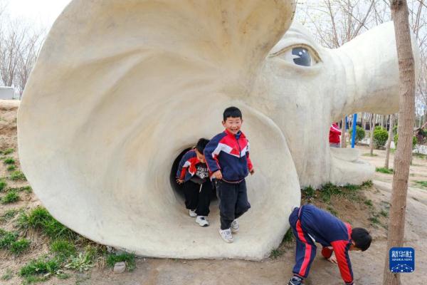 河南西裴村：绘就乡村振兴的美丽画卷