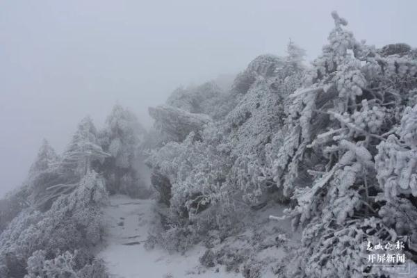 阳春三月,云南这里现罕见雾凇美景 阳春三月,云南这里现罕见雾凇美景
